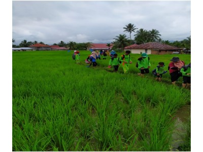 Outing Class di Koto Anau