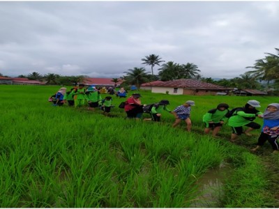 Outing Class di Koto Anau